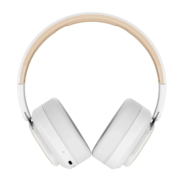 boAT Rockerz 370 Pro Wireless Headphone