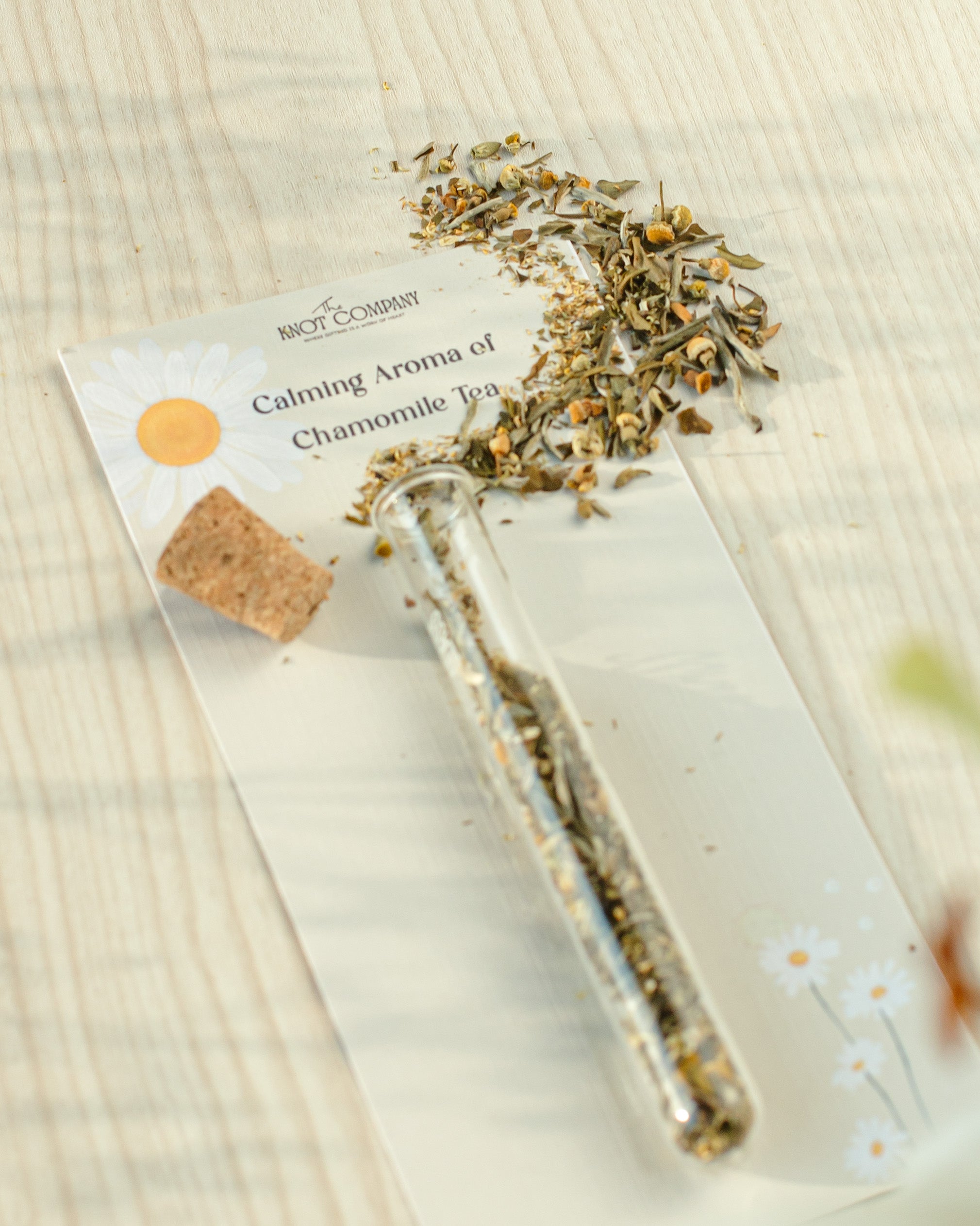 Healthy Start to The Year