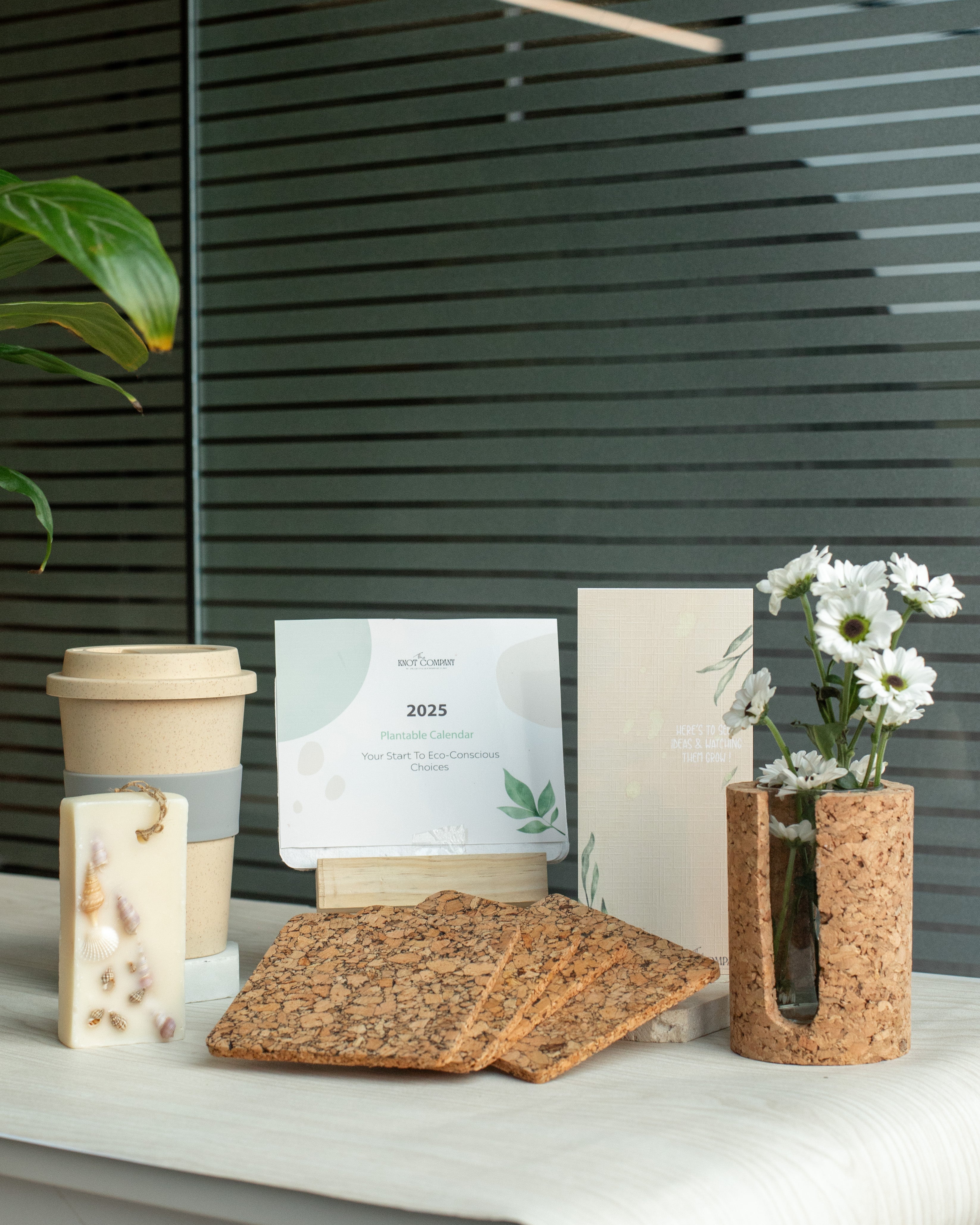 Eco-Conscious Choices