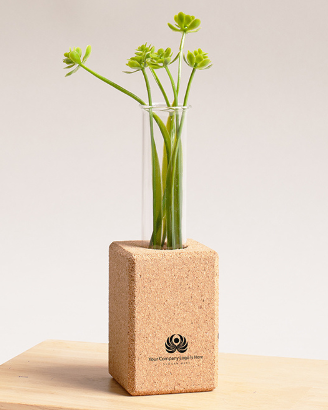Cork Planter With Fridge Magnet