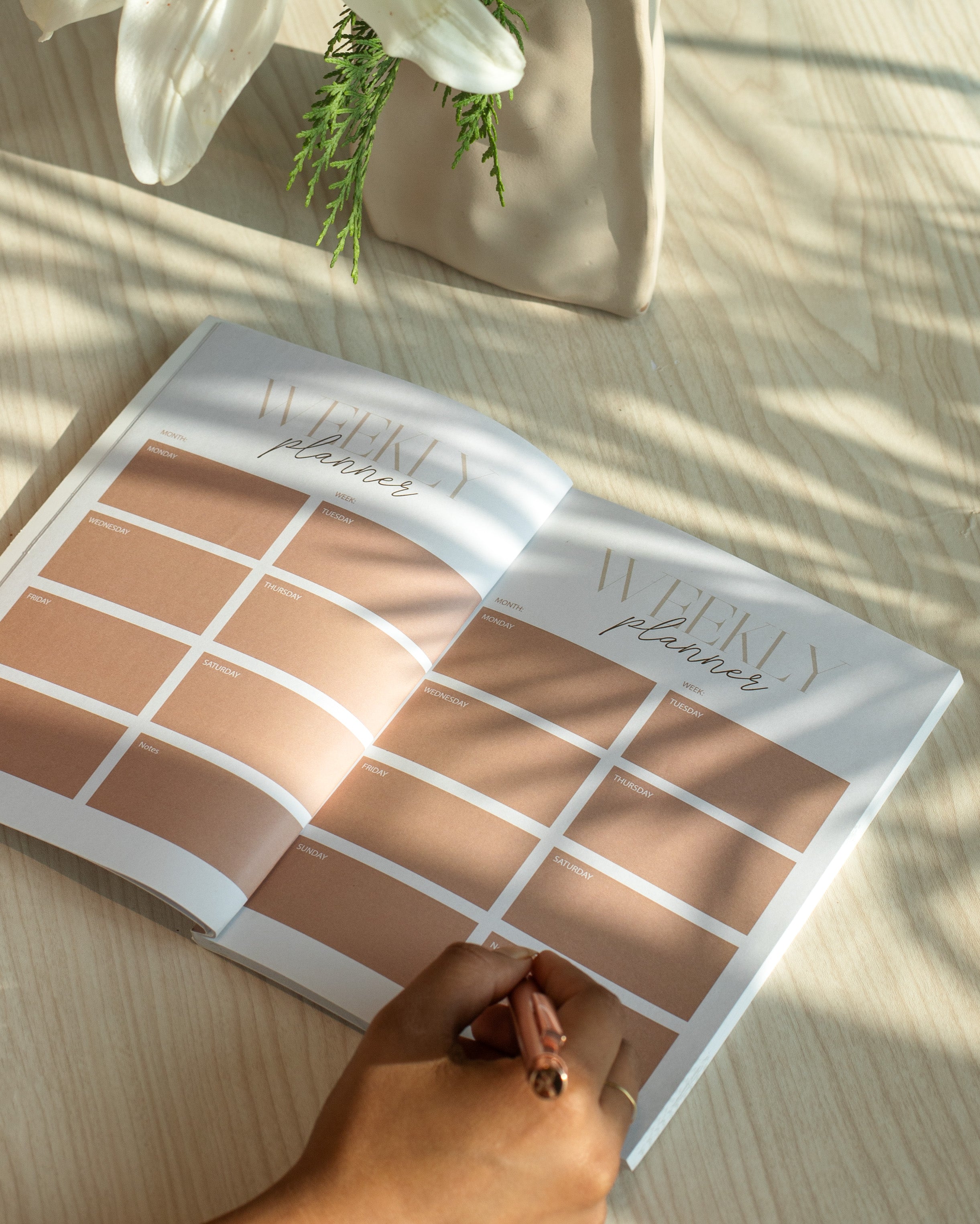 Start The Year Right