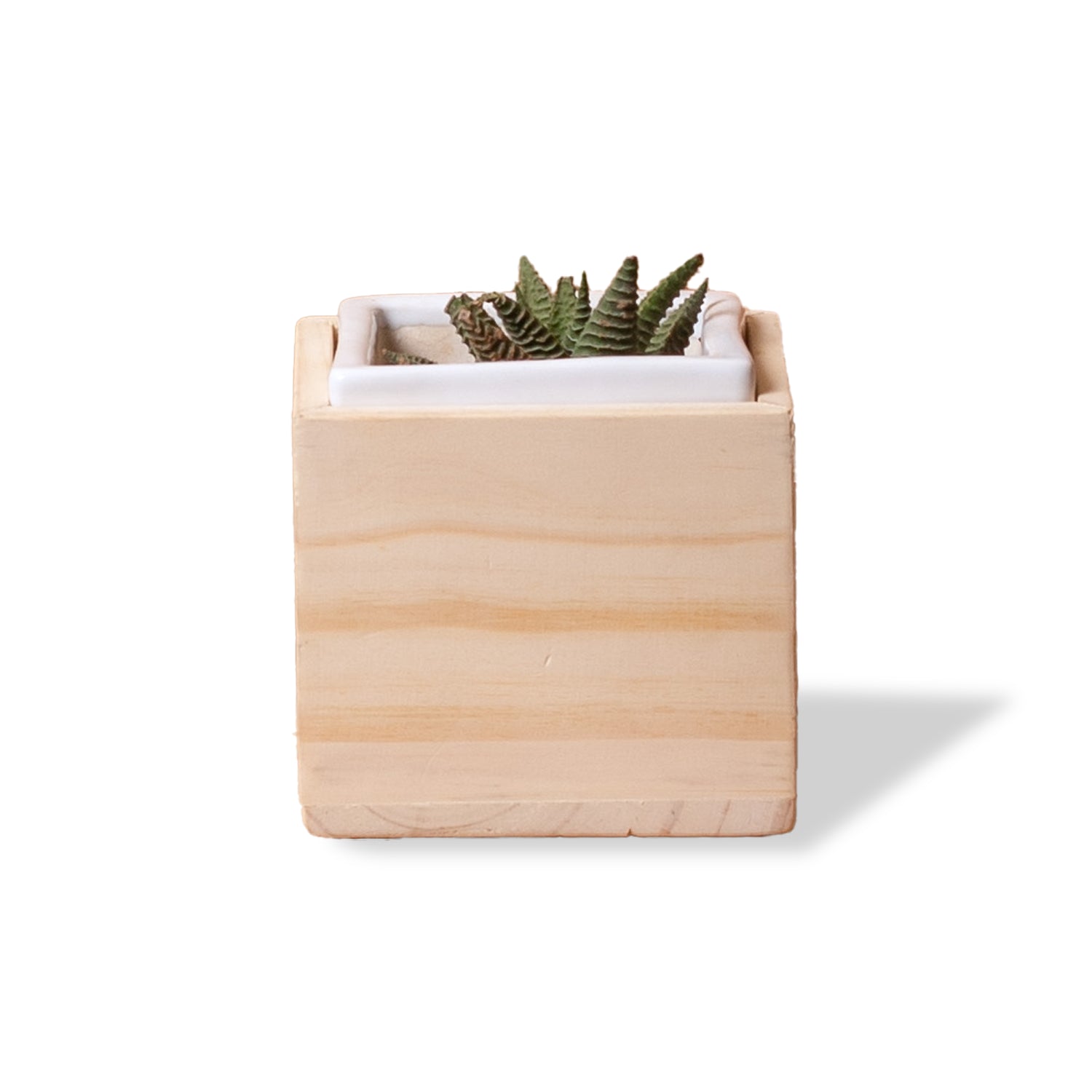 Ceramic Square Planter - White