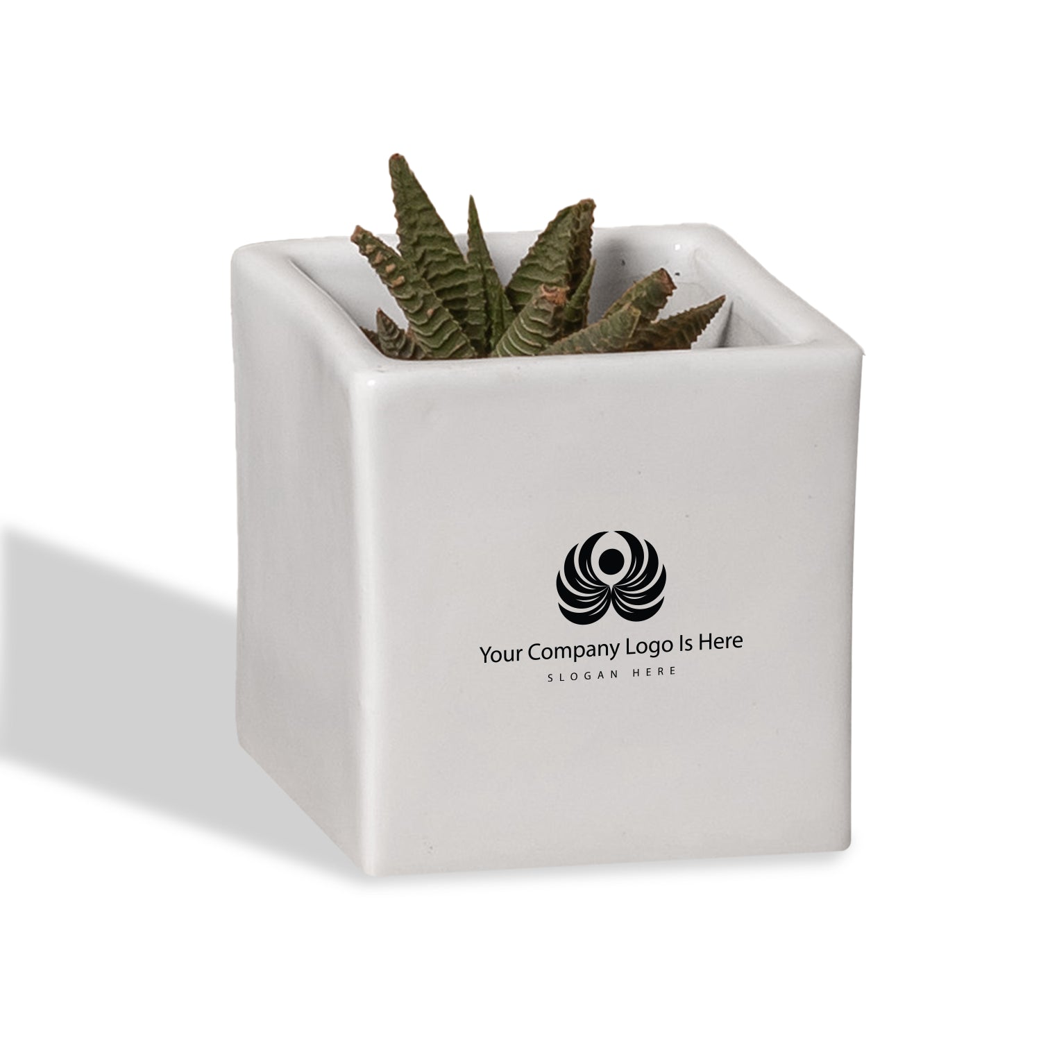 Ceramic Square Planter - White